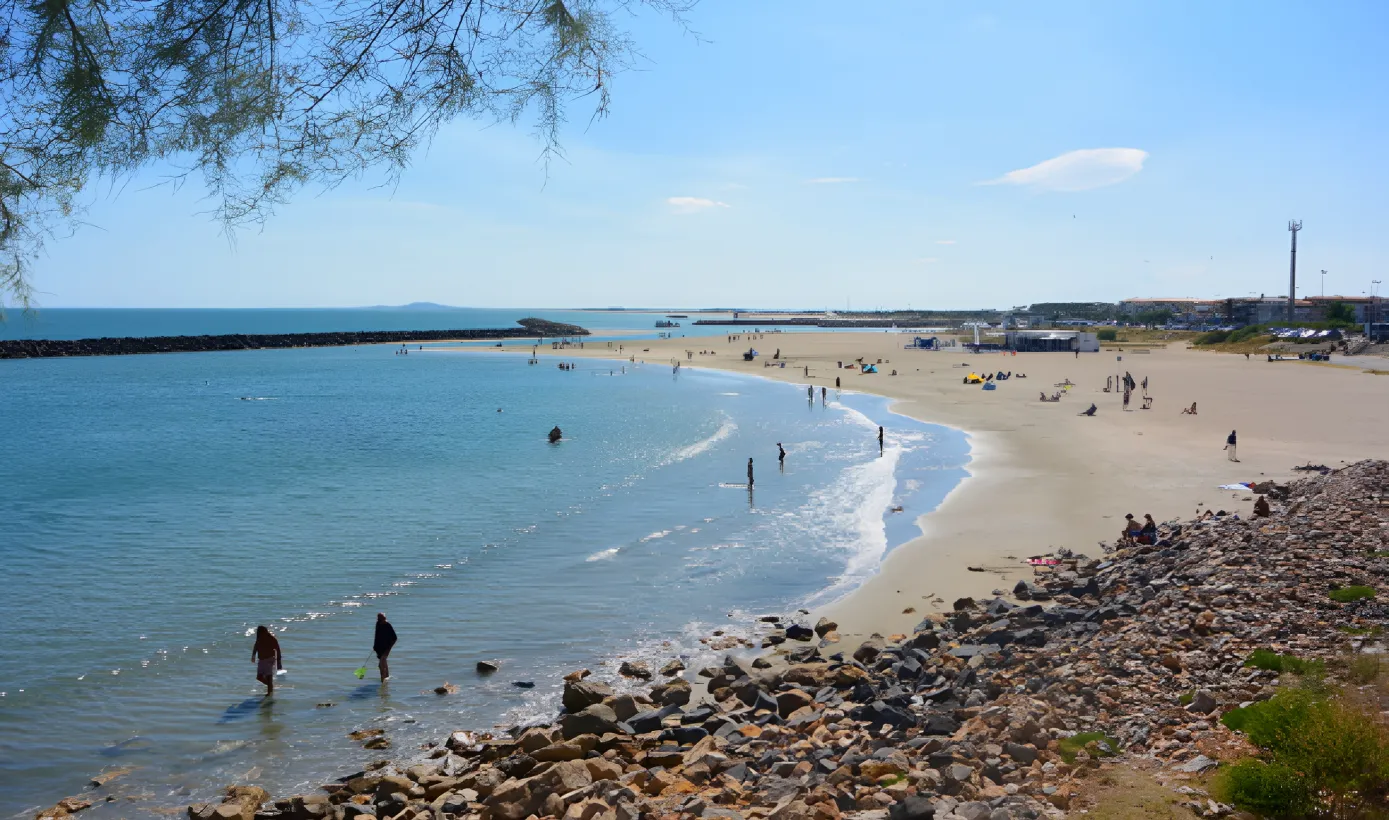 Hotel La Chaumiere Hotel Restaurant A Marseillan Plage La Chaumiere