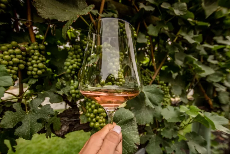 Hotel La Chaumiere Hotel Restaurant A Marseillan Plage Image 1